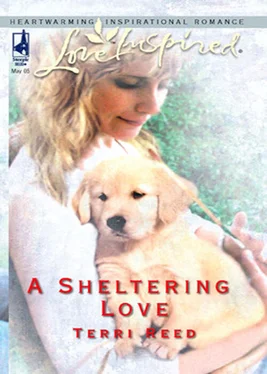 Terri Reed A Sheltering Love обложка книги