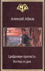 Алексей Абвов - Цифровая пропасть. Взгляд со дна