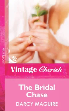 Darcy Maguire The Bridal Chase обложка книги