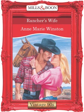 Anne Winston Rancher's Wife обложка книги