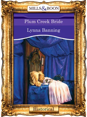 Lynna Banning Plum Creek Bride обложка книги