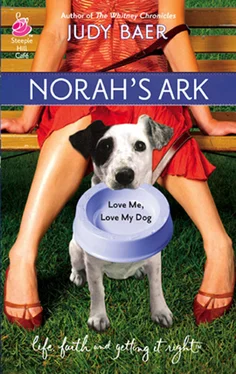 Judy Baer Norah's Ark обложка книги