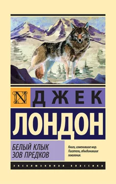 Джек Лондон Белый Клык. Зов предков (сборник) обложка книги