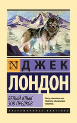 Джек Лондон - Белый Клык. Зов предков (сборник)