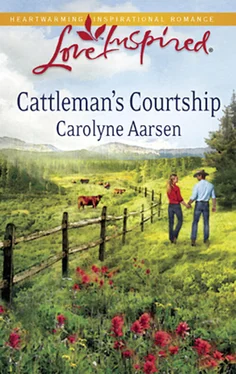 Carolyne Aarsen Cattleman's Courtship обложка книги