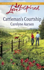 Carolyne Aarsen - Cattleman's Courtship