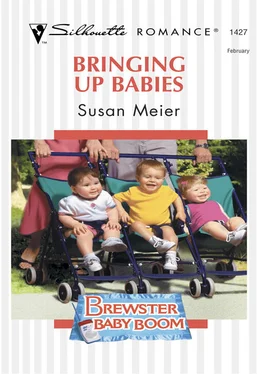 SUSAN MEIER Bringing Up Babies обложка книги