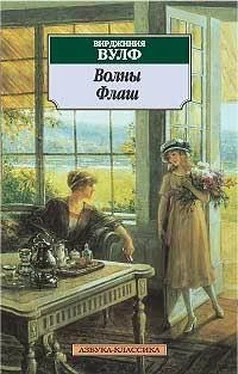 Вирджиния Вулф Флаш обложка книги