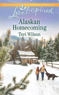 Teri Wilson Alaskan Homecoming обложка книги