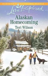Teri Wilson - Alaskan Homecoming