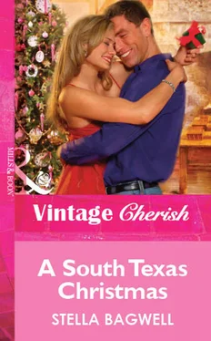 Stella Bagwell A South Texas Christmas обложка книги