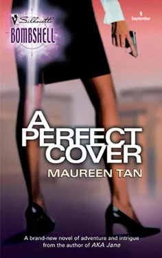 Maureen Tan A Perfect Cover обложка книги