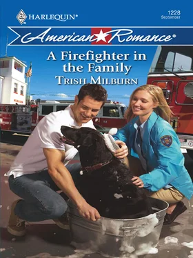 Trish Milburn A Firefighter in the Family обложка книги