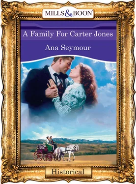 Ana Seymour A Family For Carter Jones обложка книги