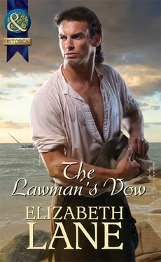 Elizabeth Lane The Lawman's Vow обложка книги