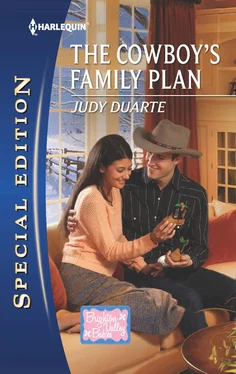 Judy Duarte The Cowboy's Family Plan