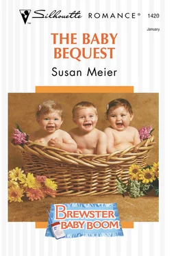 SUSAN MEIER The Baby Bequest обложка книги