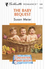 SUSAN MEIER - The Baby Bequest