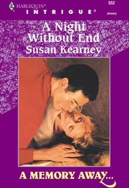 Susan Kearney A Night Without End обложка книги