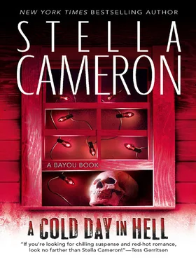 Stella Cameron A Cold Day In Hell обложка книги