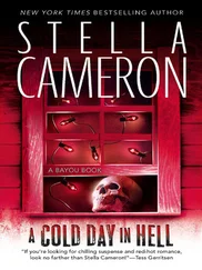 Stella Cameron - A Cold Day In Hell
