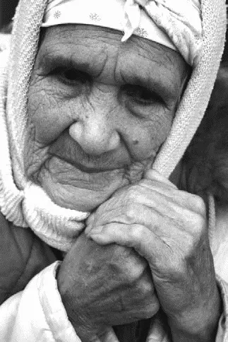 Начальнику мы на День Рождения его собаки подарим для неё электромассажёр а - фото 41