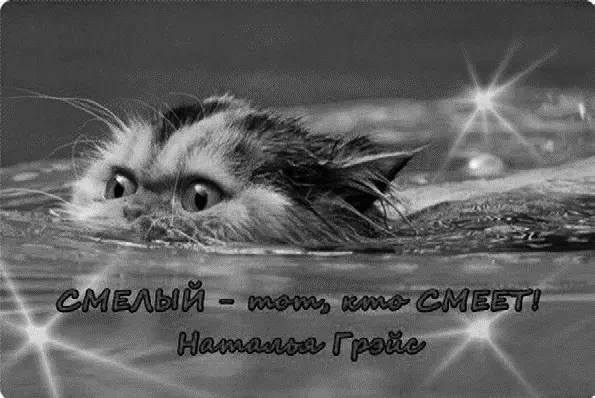 Иерархия талантов Что нам нужно чтобы уважать человека Достоинства Их - фото 219