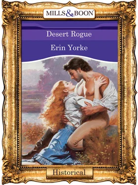 Erin Yorke Desert Rogue обложка книги