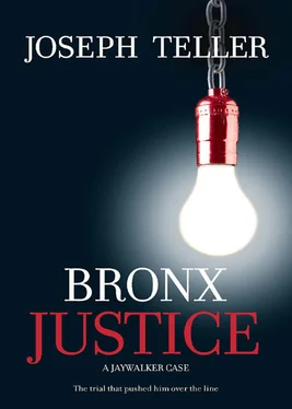 Joseph Teller Bronx Justice обложка книги