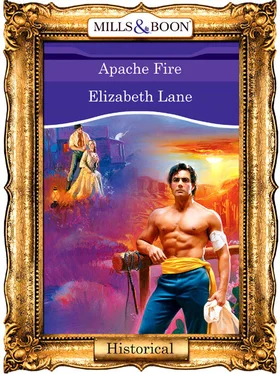 Elizabeth Lane Apache Fire обложка книги