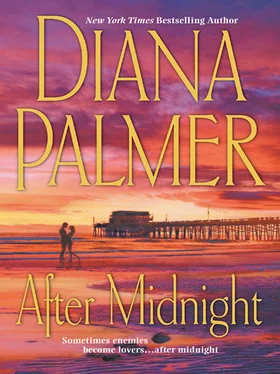 Diana Palmer After Midnight обложка книги