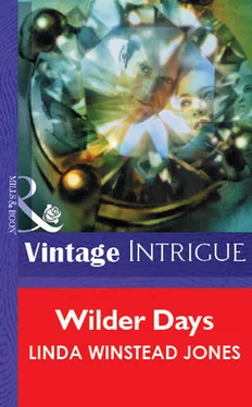 Linda Jones Wilder Days обложка книги