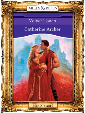 Catherine Archer Velvet Touch обложка книги