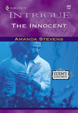 Amanda Stevens The Innocent обложка книги