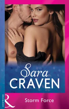 Sara Craven Storm Force обложка книги