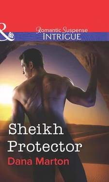 Dana Marton Sheikh Protector обложка книги