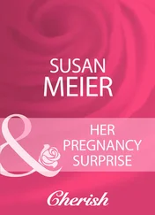 SUSAN MEIER - Her Pregnancy Surprise