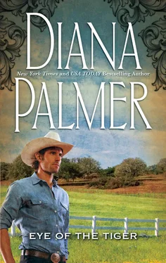 Diana Palmer Eye of the Tiger обложка книги