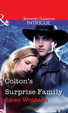 Karen Whiddon Colton's Surprise Family обложка книги