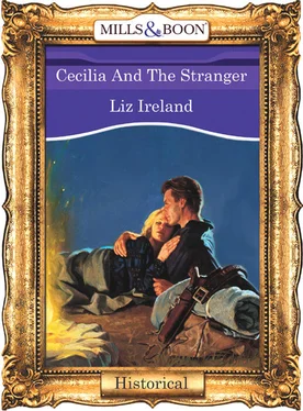 Liz Ireland Cecilia And The Stranger обложка книги