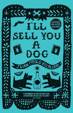 Juan Pablo Villalobos I'll Sell You a Dog обложка книги