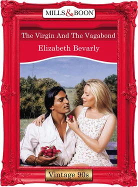 Elizabeth Bevarly The Virgin And The Vagabond обложка книги