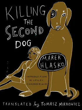 Marek Hlasko Killing the Second Dog обложка книги