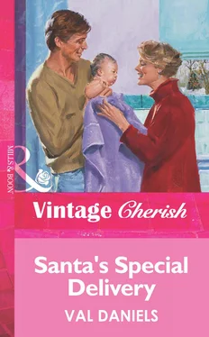 Val Daniels Santa's Special Delivery обложка книги