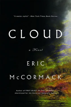 Eric McCormack Cloud обложка книги