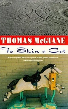 Thomas McGuane To Skin a Cat обложка книги