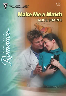 Alice Sharpe Make Me a Match обложка книги