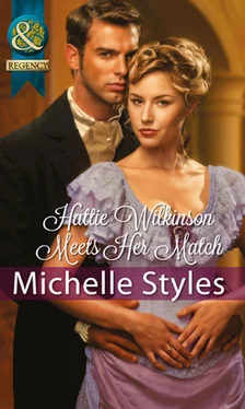 Michelle Styles Hattie Wilkinson Meets Her Match обложка книги