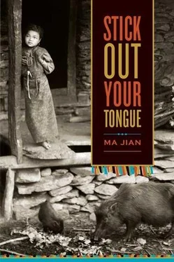 Ma Jian Stick Out Your Tongue обложка книги