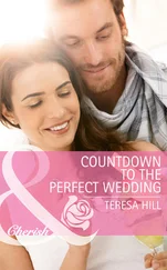 Teresa Hill - Countdown to the Perfect Wedding